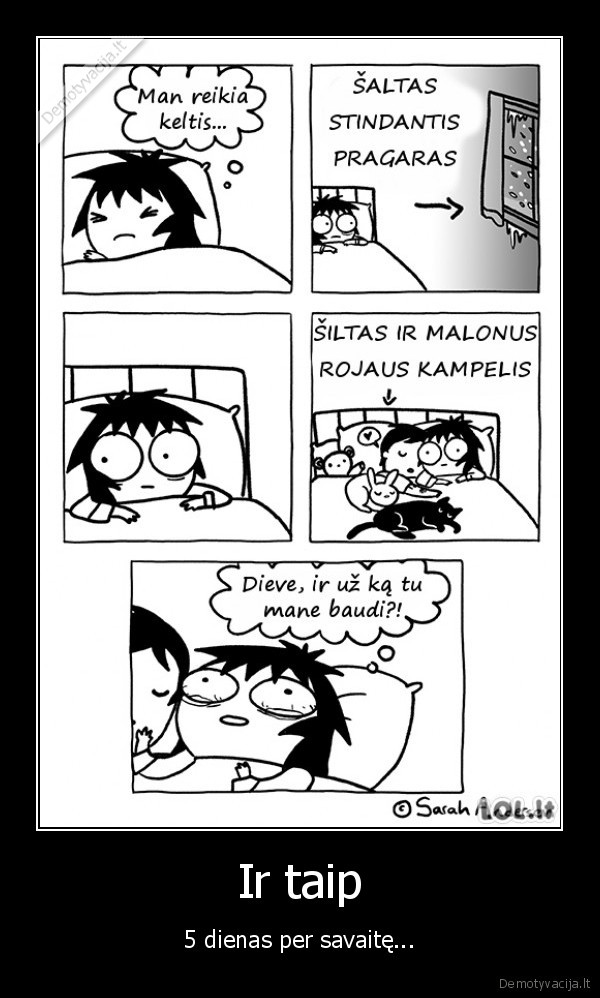 Ir taip - 5 dienas per savaitę...