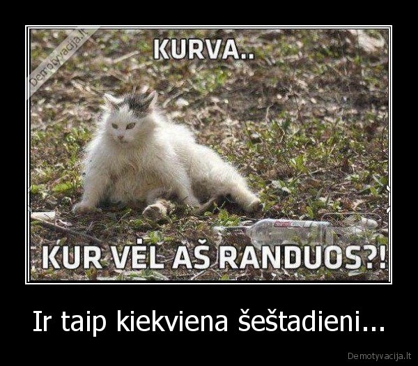 Ir taip kiekviena šeštadieni... - 
