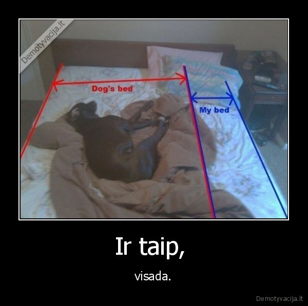 Ir taip,  - visada.