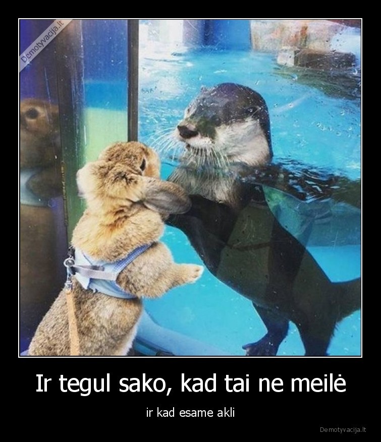 Ir tegul sako, kad tai ne meilė - ir kad esame akli