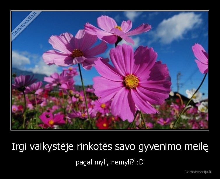 Irgi vaikystėje rinkotės savo gyvenimo meilę - pagal myli, nemyli? :D