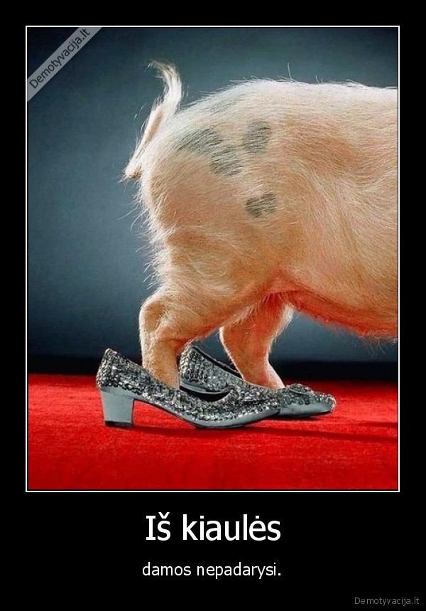 Iš kiaulės - damos nepadarysi.