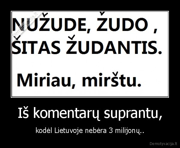 Iš komentarų suprantu, - kodėl Lietuvoje nebėra 3 milijonų..