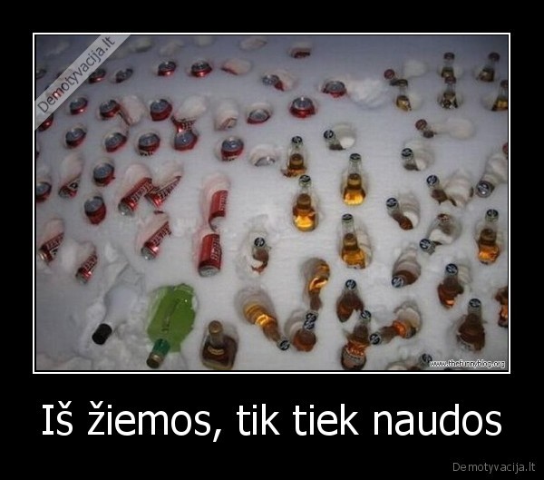 Iš žiemos, tik tiek naudos - 