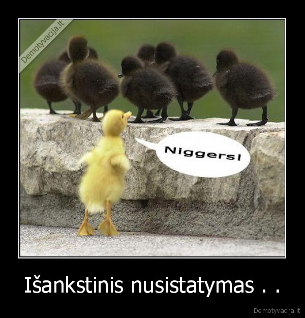 Išankstinis nusistatymas . . - 