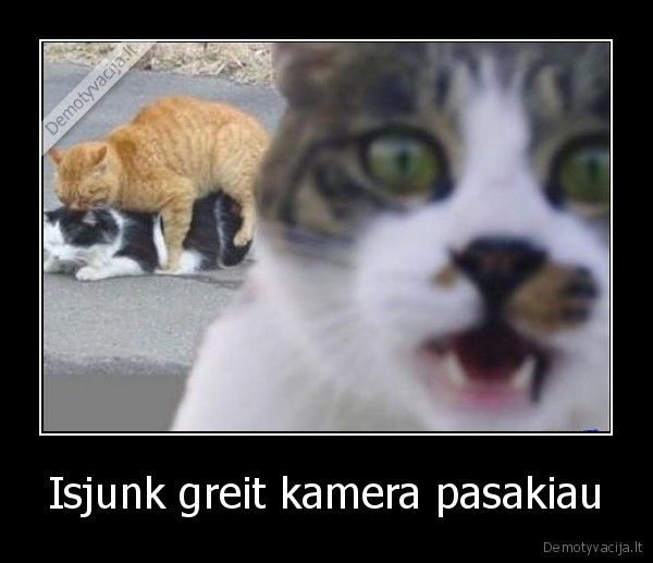 Isjunk greit kamera pasakiau - 