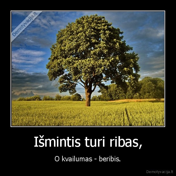 Išmintis turi ribas, - O kvailumas - beribis.