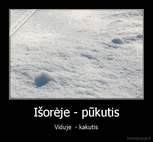 Išorėje - pūkutis - Viduje  - kakutis