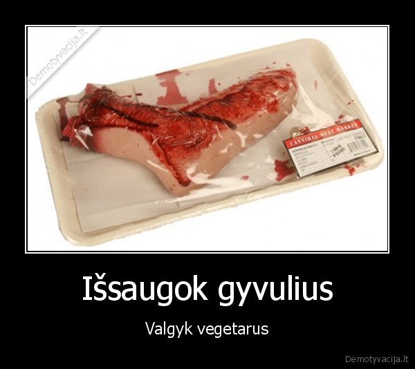 Išsaugok gyvulius - Valgyk vegetarus