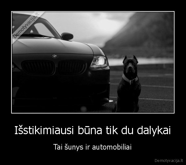 Išstikimiausi būna tik du dalykai - Tai šunys ir automobiliai