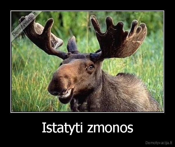 Istatyti zmonos - 