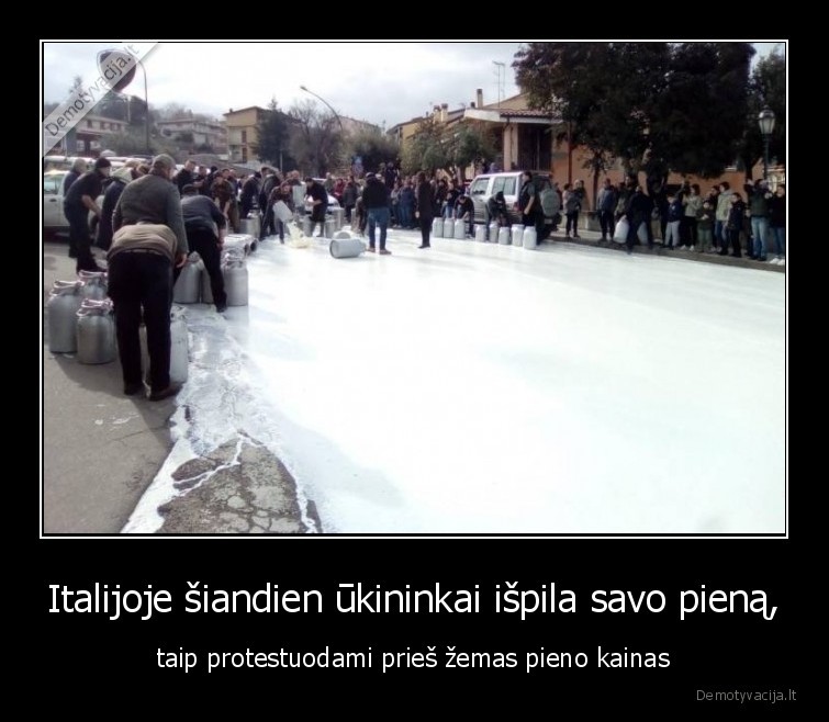 Italijoje šiandien ūkininkai išpila savo pieną, - taip protestuodami prieš žemas pieno kainas