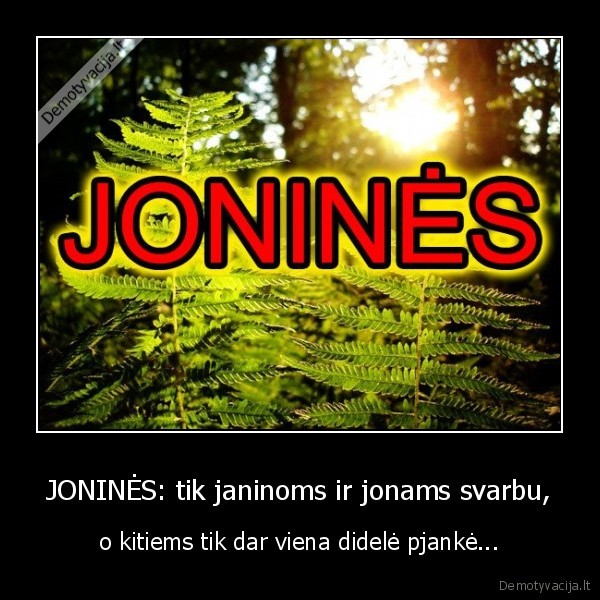 JONINĖS: tik janinoms ir jonams svarbu, - o kitiems tik dar viena didelė pjankė...