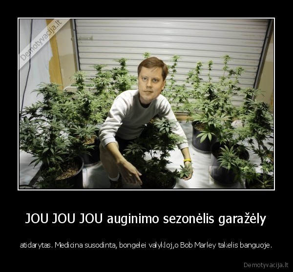JOU JOU JOU auginimo sezonėlis garažėly - atidarytas. Medicina susodinta, bongelei valykloj,o Bob Marley takelis banguoje.
