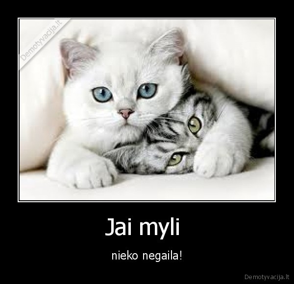 Jai myli  - nieko negaila!