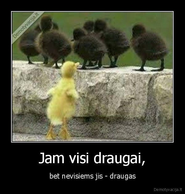 Jam visi draugai, - bet nevisiems jis - draugas