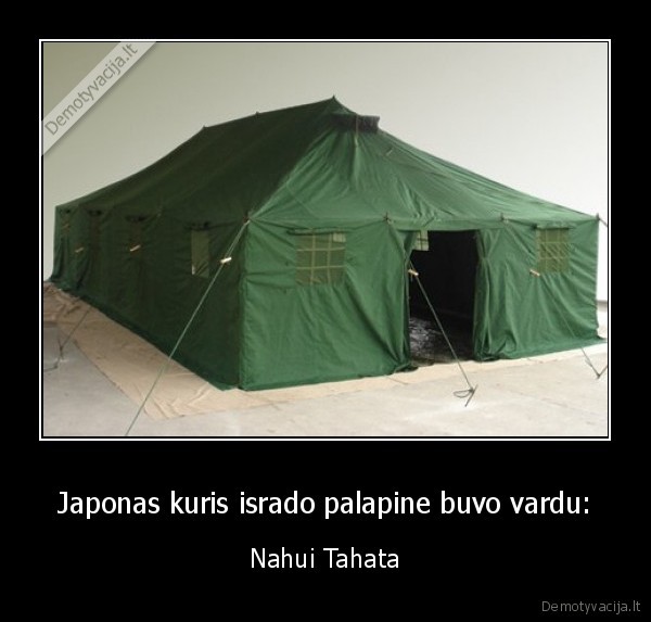 Japonas kuris isrado palapine buvo vardu: - Nahui Tahata