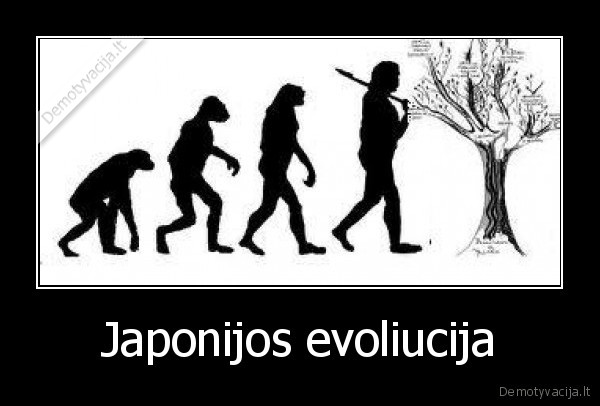 Japonijos evoliucija - 