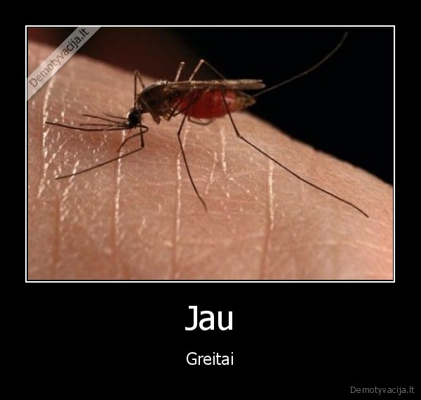 Jau - Greitai