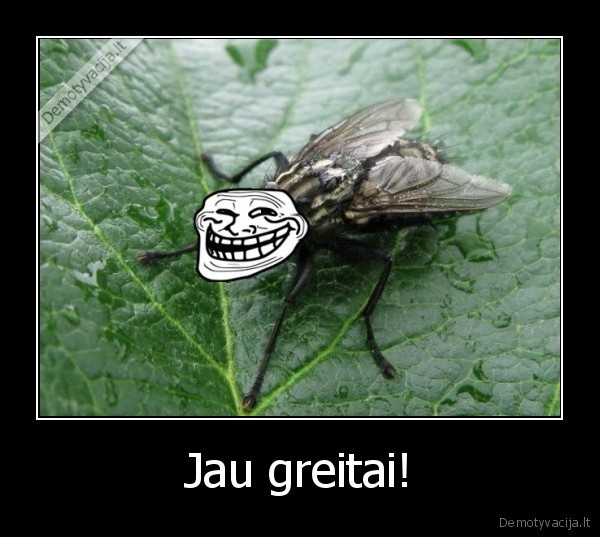 Jau greitai! - 