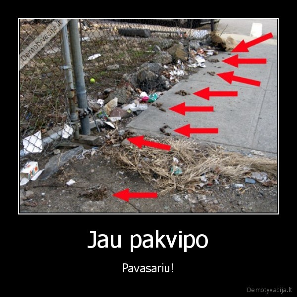 Jau pakvipo - Pavasariu!