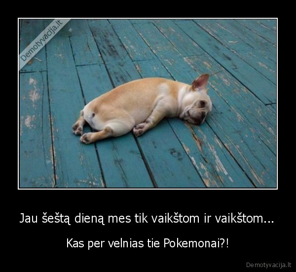 Jau šeštą dieną mes tik vaikštom ir vaikštom... - Kas per velnias tie Pokemonai?!