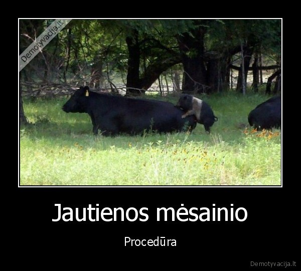 Jautienos mėsainio - Procedūra