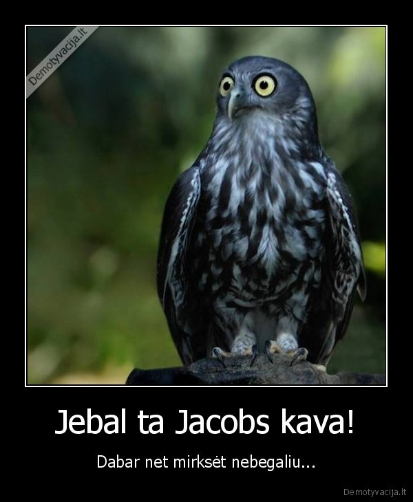 Jebal ta Jacobs kava! - Dabar net mirksėt nebegaliu...