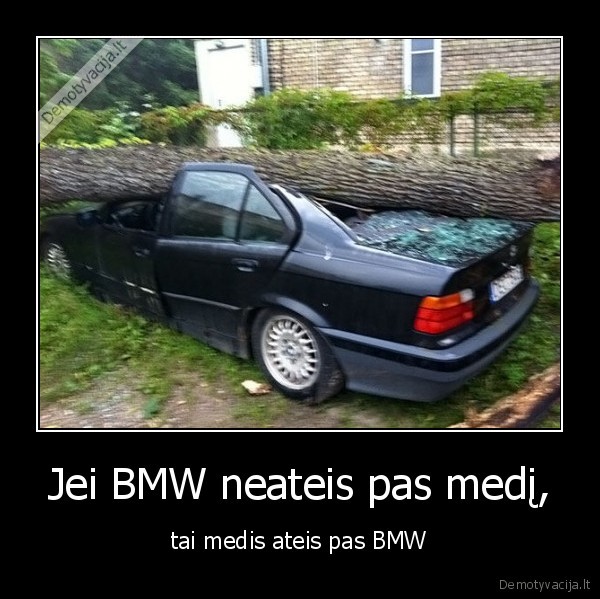 Jei BMW neateis pas medį, - tai medis ateis pas BMW