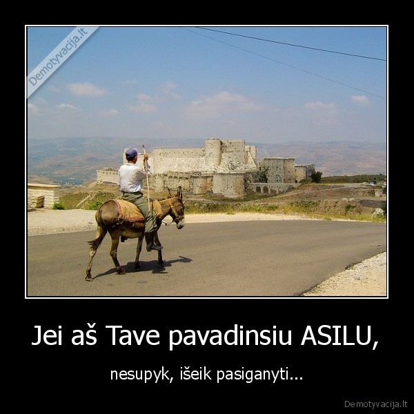 Jei aš Tave pavadinsiu ASILU, - nesupyk, išeik pasiganyti...