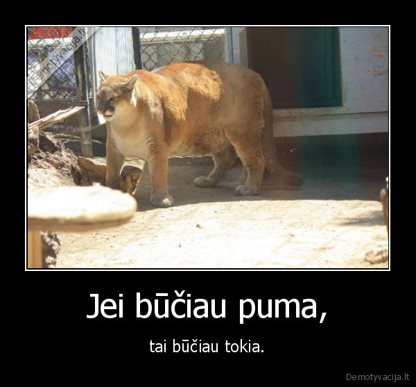 Jei būčiau puma, - tai būčiau tokia.