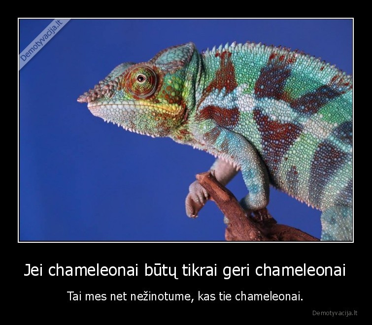 Jei chameleonai būtų tikrai geri chameleonai - Tai mes net nežinotume, kas tie chameleonai.