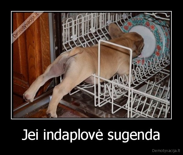 Jei indaplovė sugenda - 