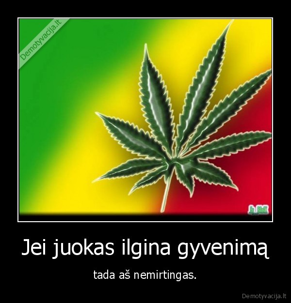 Jei juokas ilgina gyvenimą - tada aš nemirtingas.