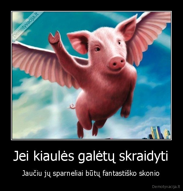 Jei kiaulės galėtų skraidyti - Jaučiu jų sparneliai būtų fantastiško skonio