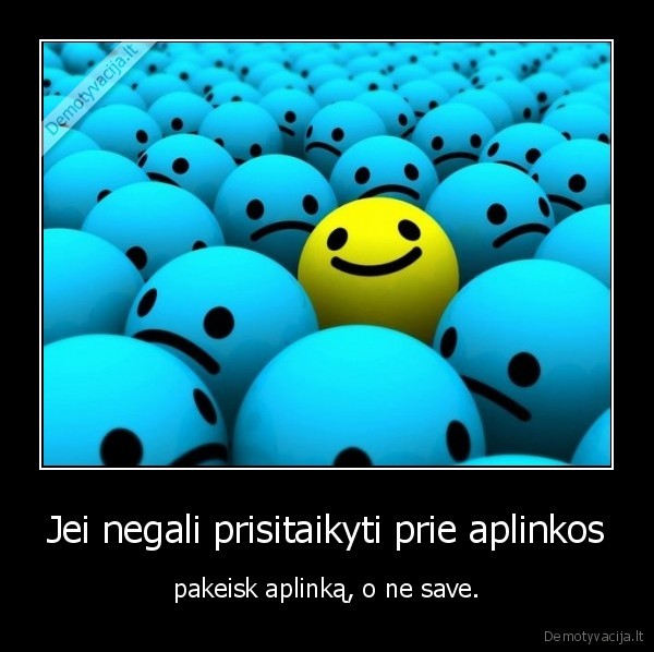 Jei negali prisitaikyti prie aplinkos - pakeisk aplinką, o ne save.