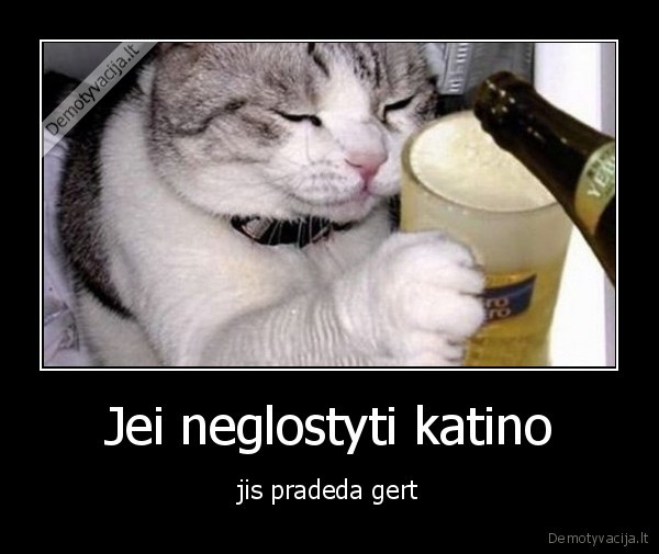 Jei neglostyti katino - jis pradeda gert