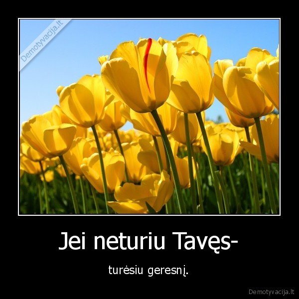 Jei neturiu Tavęs- - turėsiu geresnį.