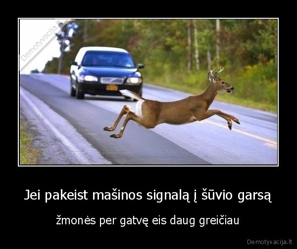 Jei pakeist mašinos signalą į šūvio garsą - žmonės per gatvę eis daug greičiau