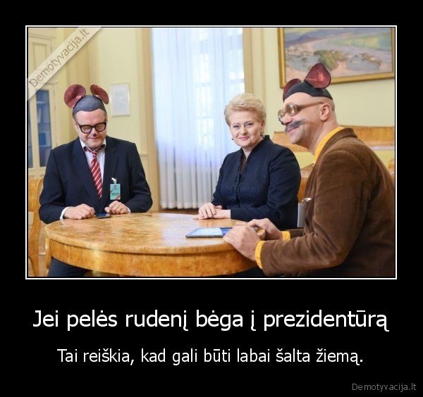 Jei pelės rudenį bėga į prezidentūrą - Tai reiškia, kad gali būti labai šalta žiemą.