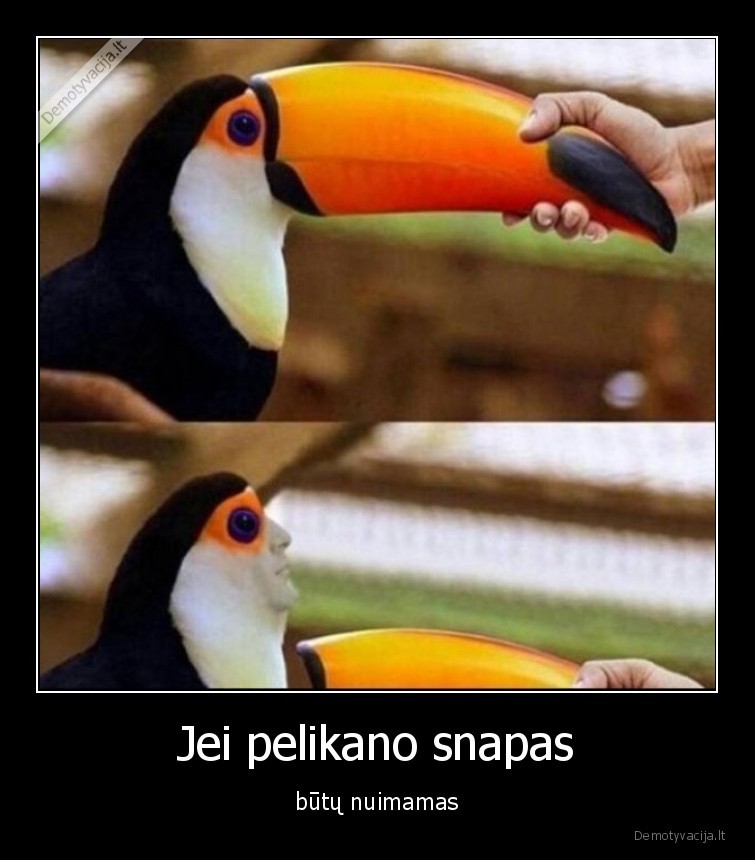 Jei pelikano snapas - būtų nuimamas