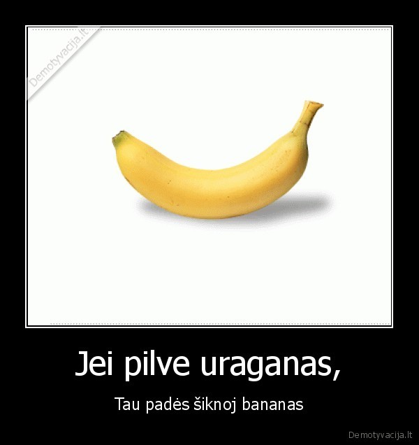 Jei pilve uraganas, - Tau padės šiknoj bananas