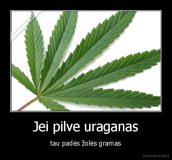 Jei pilve uraganas - tau padės žolės gramas