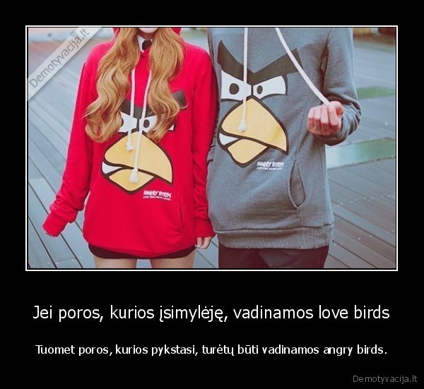 Jei poros, kurios įsimylėję, vadinamos love birds - Tuomet poros, kurios pykstasi, turėtų būti vadinamos angry birds.