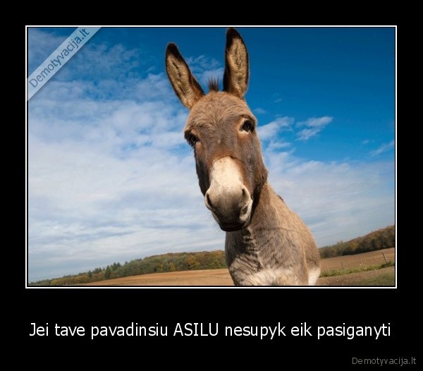 Jei tave pavadinsiu ASILU nesupyk eik pasiganyti - 