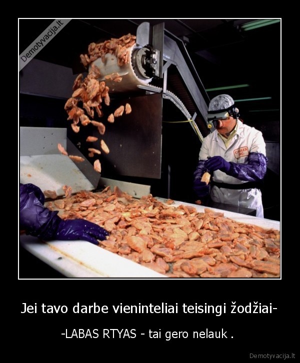 Jei tavo darbe vieninteliai teisingi žodžiai- - -LABAS RTYAS - tai gero nelauk . 