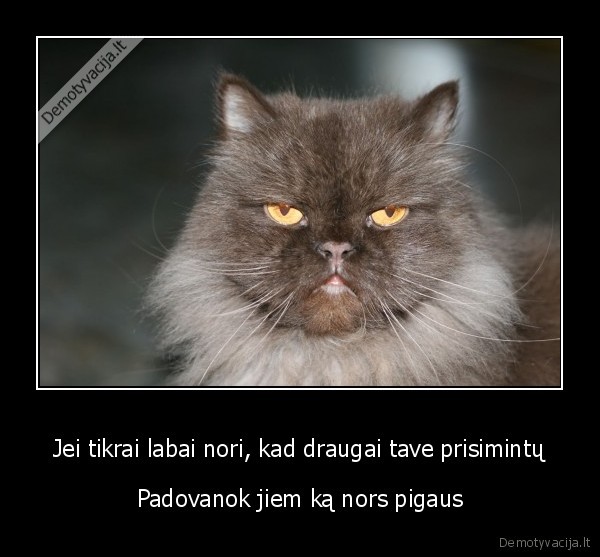 Jei tikrai labai nori, kad draugai tave prisimintų - Padovanok jiem ką nors pigaus