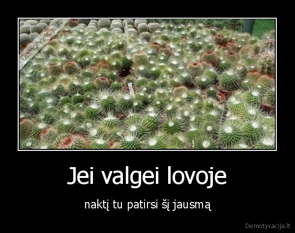 Jei valgei lovoje - naktį tu patirsi šį jausmą