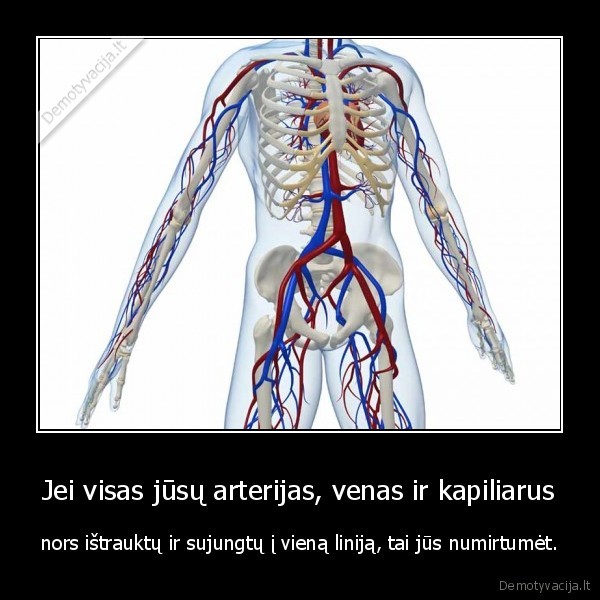 Jei visas jūsų arterijas, venas ir kapiliarus - nors ištrauktų ir sujungtų į vieną liniją, tai jūs numirtumėt.