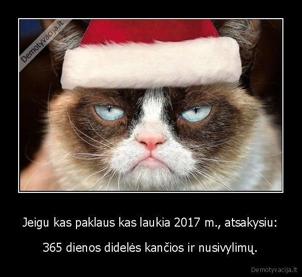 Jeigu kas paklaus kas laukia 2017 m., atsakysiu: - 365 dienos didelės kančios ir nusivylimų.